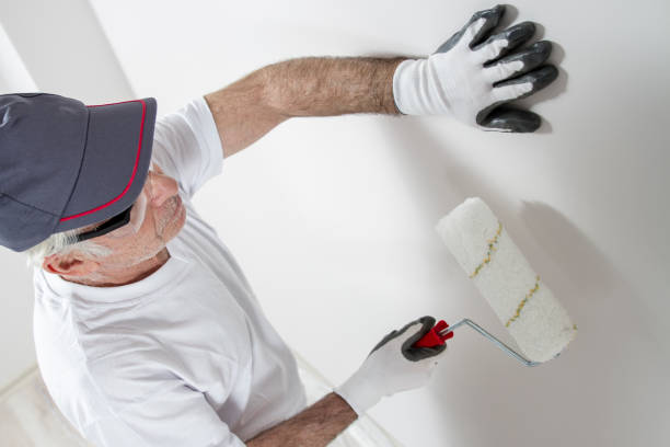Best Mold Damage Restoration  in Essex, IL