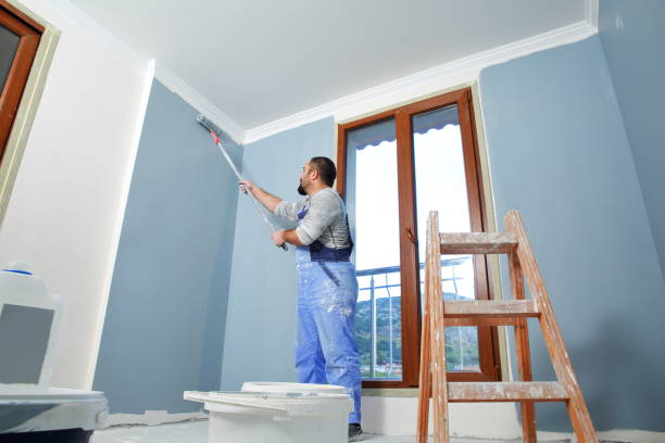 Reliable Essex, IL Mold Removal Solutions