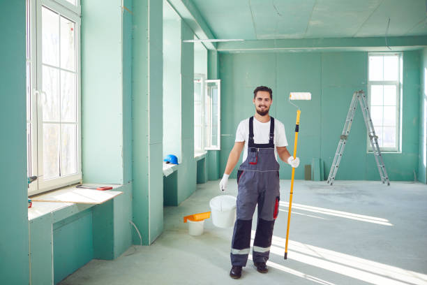 Best Industrial Mold Remediation  in Essex, IL