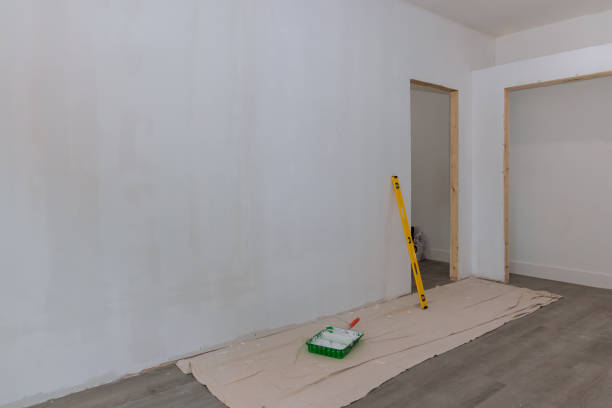Best Black Mold Removal  in Essex, IL