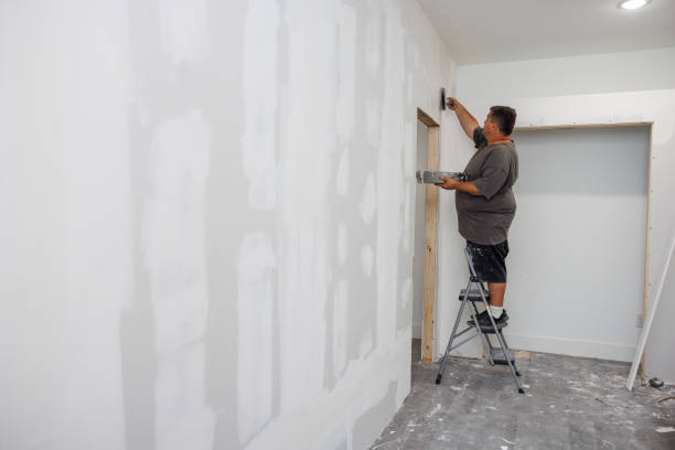 Best Dehumidification Services  in Essex, IL
