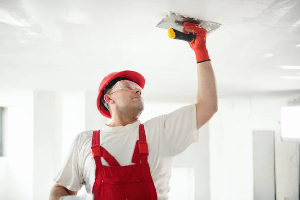 Mold Remediation for Vacation Homes in Essex, IL