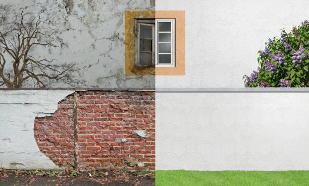 Best Commercial Mold Inspection  in Essex, IL